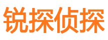 大理市侦探调查公司